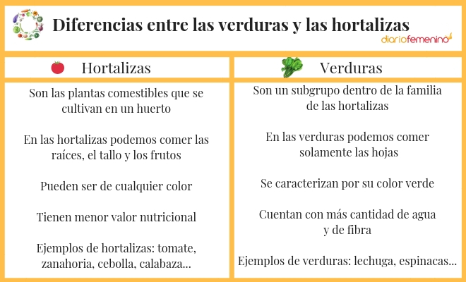 ¿verduras U Hortalizas Descubre Por Fin Sus Diferenciasemk 5792